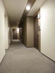 　ホテルライクな内廊下設計。夜間の足音にも配慮した絨毯張りを採用しています。