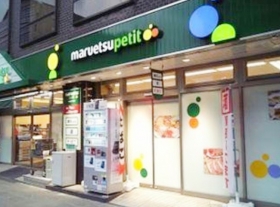 その他　マルエツプチ　四谷二丁目店　徒歩１１分の立地にあるスーパーです。