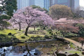 　東京で最も古い庭園『小石川後楽園』も近所にあり、情緒や文化を感じながらゆっくりと散歩をするのもおすすめです。