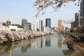 　近くには神田川が流れ、春には桜がキレイです。