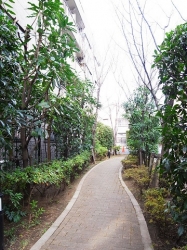 　敷地内には緑豊かな散歩道も設けられています。 