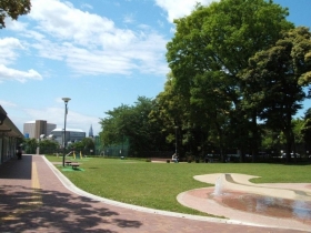 　近くの「目白台運動公園」にはリードをはずして遊ばせることができる広場があるので、お散歩コースにおすすめです。