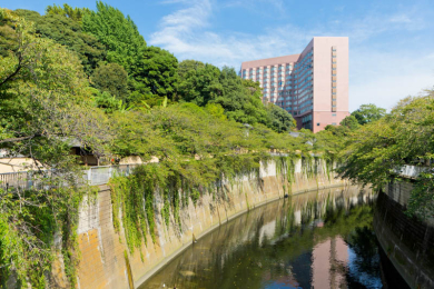 　「文京区立 江戸川公園」は徒歩2分。関口台地の南斜面の神田川沿いに広がる東西に細長い公園です。