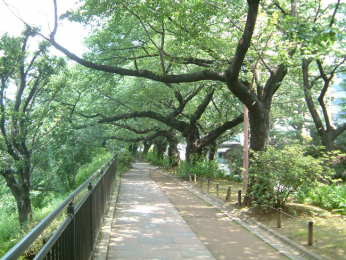 　外濠公園　徒歩１３分の立地にある緑豊かな大型の公園です。