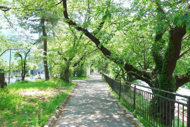 　外濠公園　徒歩8分の立地にある緑豊かな大型の公園です。