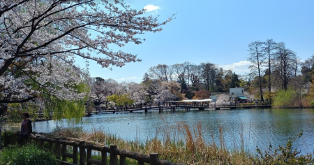　神田川沿いを進むと江戸川公園がありお散歩が楽しくなりそうです♪