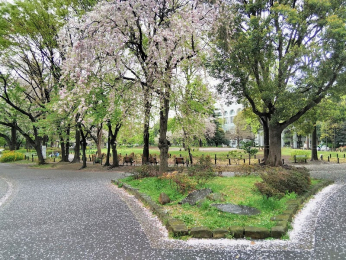 　東京都立 戸山公園（大久保地区）　徒歩8分です。
