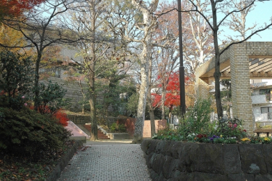 　新宿区立　愛住公園　徒歩7分です。