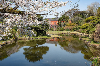 　四季を通してさまざまな花木を楽しむことができる「小石川植物園」徒歩4分