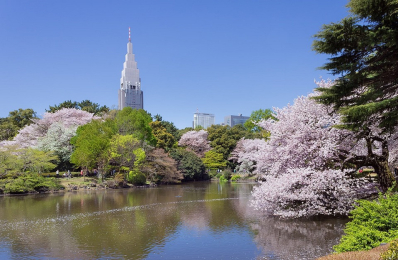 　歴史ある日本庭園「新宿御苑」至近。自然を感じられるスポットです。