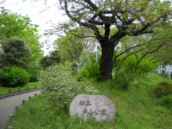 　戸山公園　徒歩13分です。