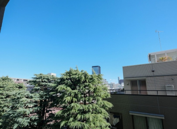 @󕨂C悭Ȓ]łB