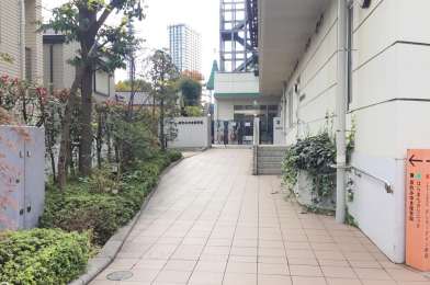 �@�����݂䂫�ۈ牀�@�k��5���ł��B