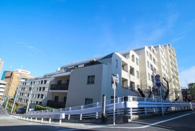 �@�u�q���T�C�h���W�f���X�v�Ɓu�p�[�N�T�C�h���W�f���X�v��2������Ȃ鑍�ː�237�˂̑�K�̓��W�f���X�B