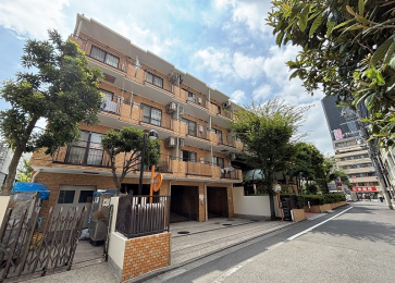 �@�V�h�G���A��_�y��G���A�֍D�A�N�Z�X�̃}���V�����I���������w�k��3���ł��I