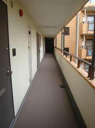 �@���ʂ��̗ǂ����p�L���B