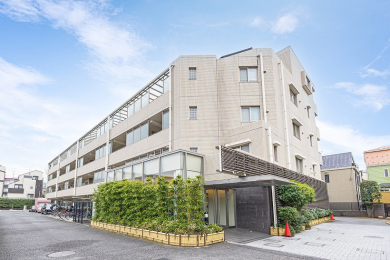 �@�̂Ȃ���̐��ȕ��͋C�u�_�y��v���߂̍D���n�}���V�����ł��I